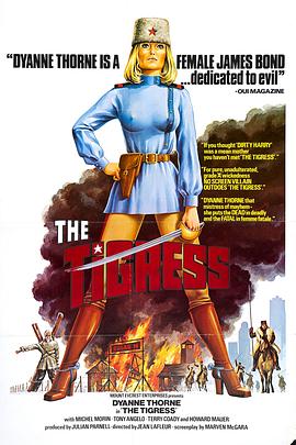 深圳财税SEO优化工具